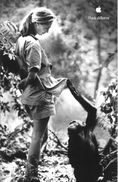 Original Apple Think Different Jane Goodall Poster Mac Computer 2000
