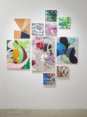 Western Lowland Gorilla