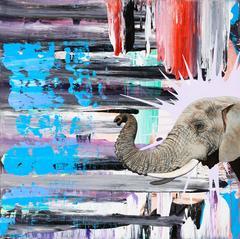 African Elephant