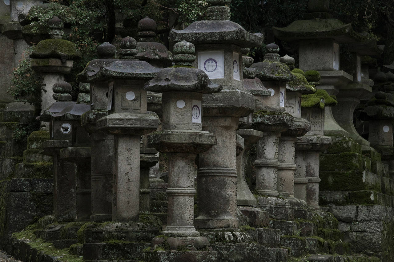 David H. Gibson Still-Life Photograph - Toward Kasuga Shrine, Along Pathways of Lanterns, Nara, Japan 08 4894