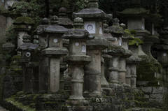 Toward Kasuga Shrine, Along Pathways of Lanterns, Nara, Japan 08 4894