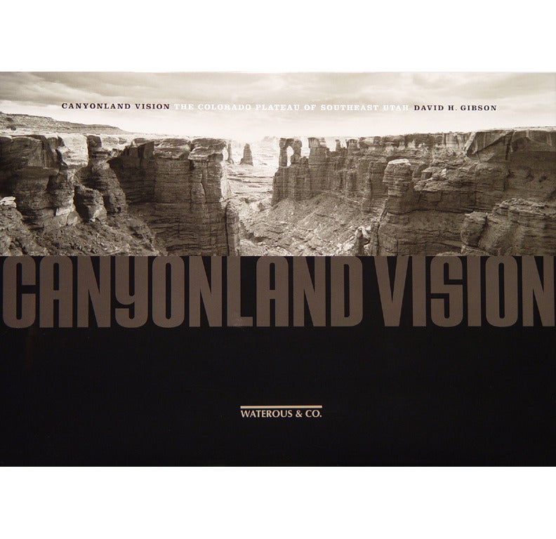 Into Monument Basin, Canyonlands National Park, Moab, Utah – Photograph von David H. Gibson