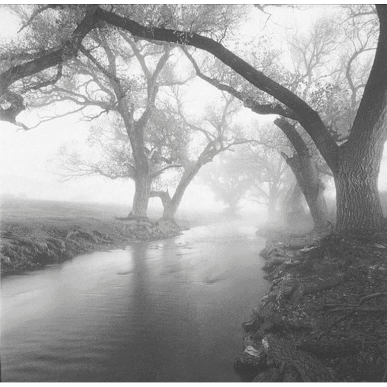 David H. Gibson Black and White Photograph - Branch Arch, Limpia Creek, Fort Davis, Texas
