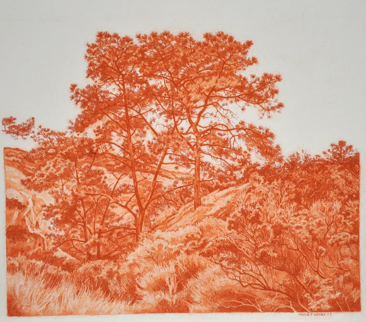 Anne C. Weary Landscape Art - Pines in Ravine