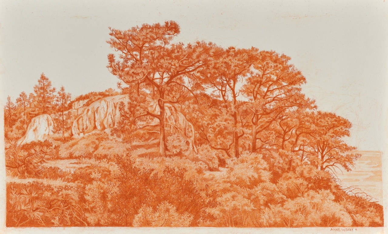 Anne C. Weary Landscape Art - Lion
s Paw