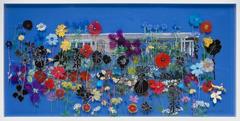 Summer Garden 7