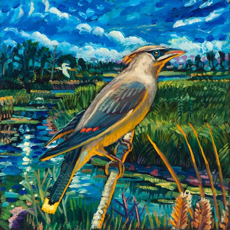 Cedar Waxwing - Painting by Mark Messersmith