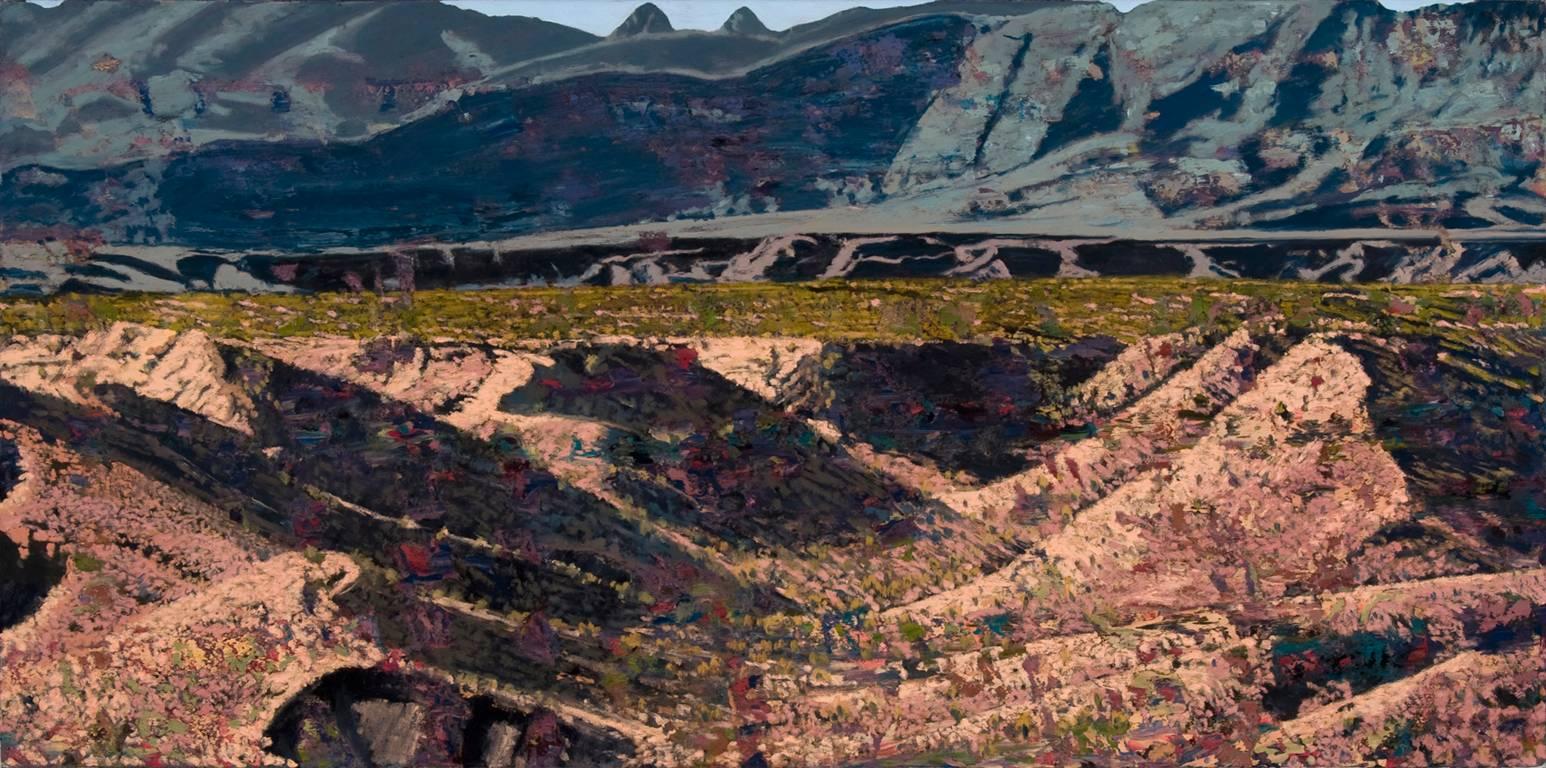 Jim Woodson Landscape Painting - Interspersed Field Realization, Big Bend, TX