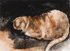 Cat with no face 3
