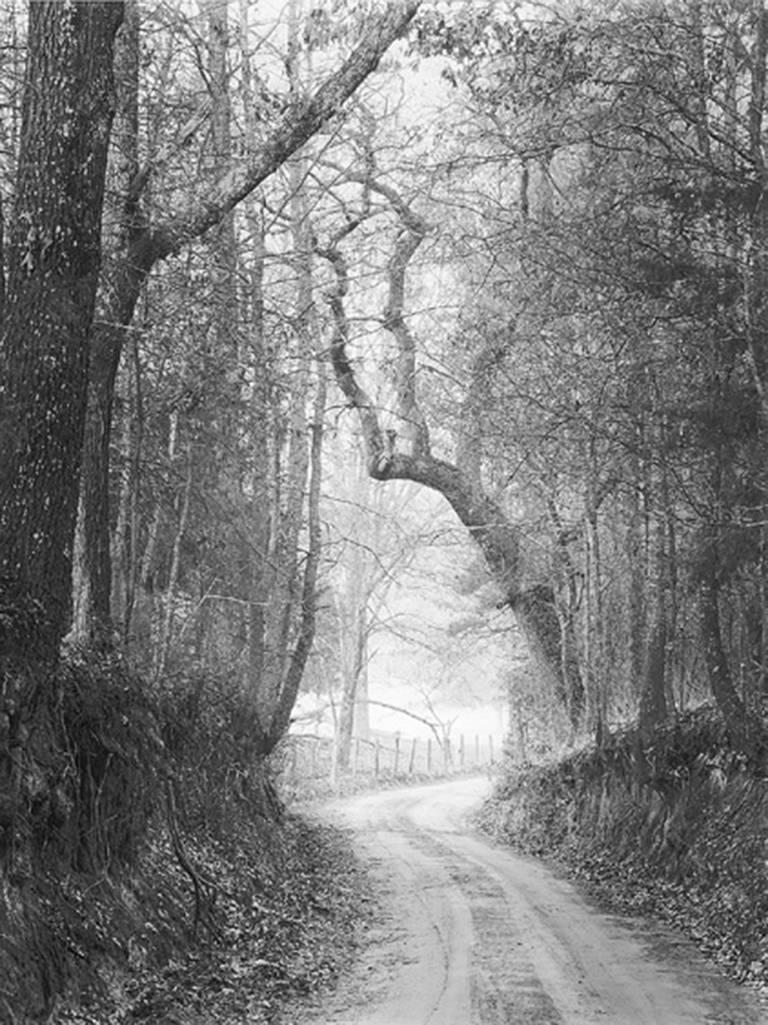 David H. Gibson Landscape Photograph - Road, Harrison County, Texas