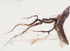 Pine Branch