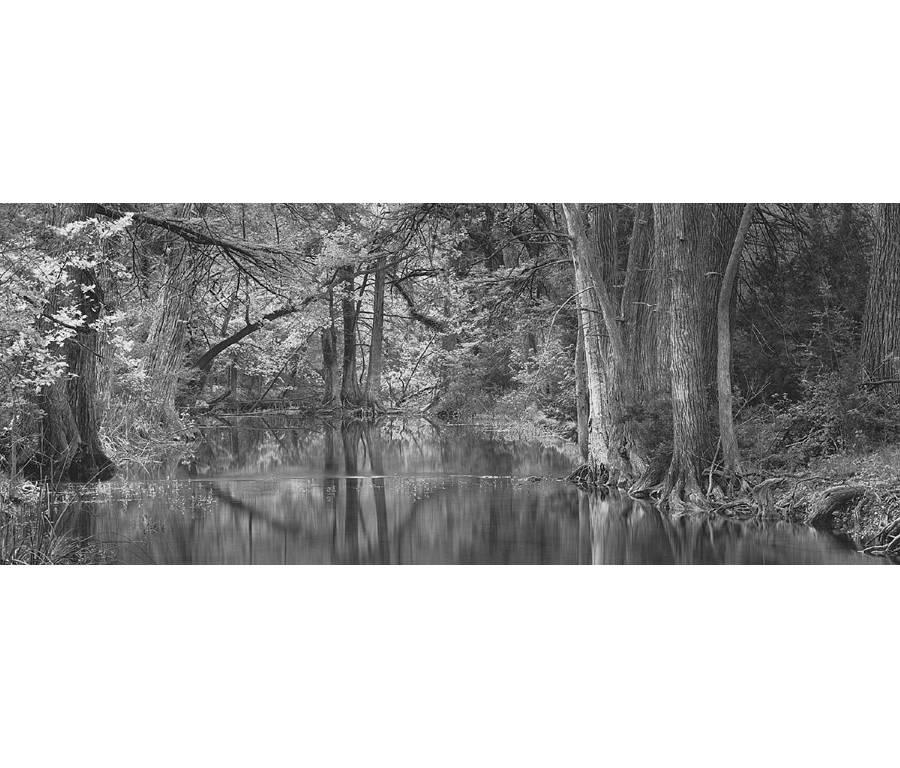 David H. Gibson Black and White Photograph - April Light, Cypress Creek, Wimberley, Texas