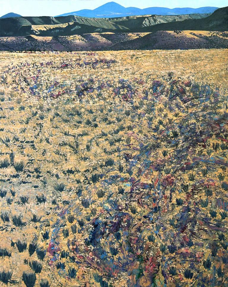 Landscape Painting Jim Woodson - Mediations semi-articulées intermédiates n° 3 (High Mesas, NM)