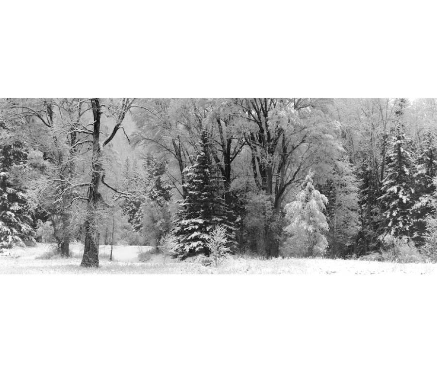 David H. Gibson Black and White Photograph - First Snow, Rio Pueblo Valley, New Mexico