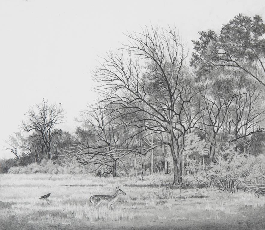 Anne C. Weary Landscape Art - Under the Bois d'Arc Tree