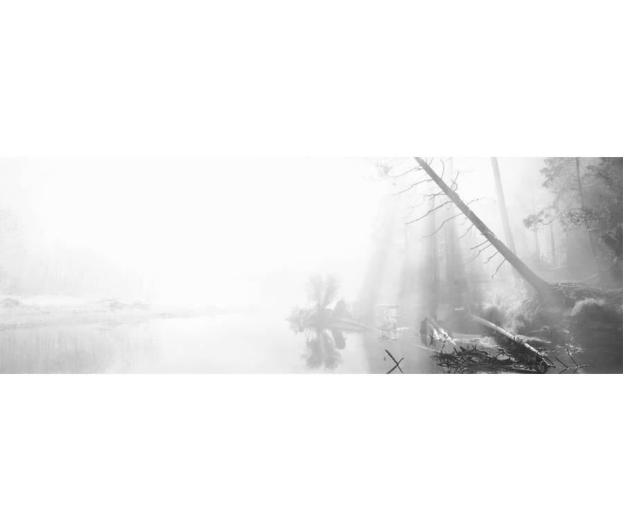 David H. Gibson Black and White Photograph - Sunstreams, Merced River, Yosemite National Park, California