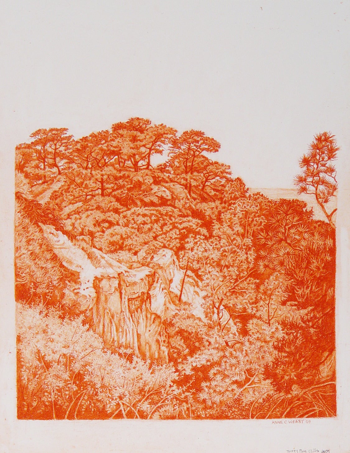 Anne C. Weary Landscape Art - Torrey Pine Cliffs