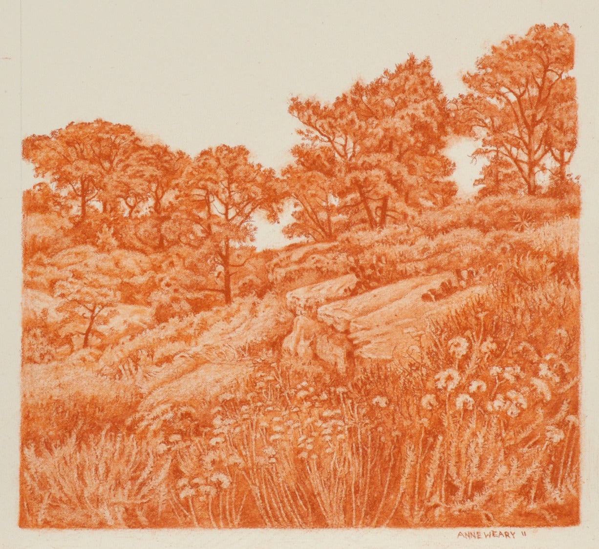 Anne C. Weary Landscape Art - Torrey Pines Ledges