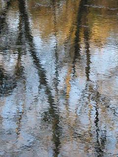 Water Reflection #7129, Cypress Creek, November 24, 2003, Wimberley, Texas