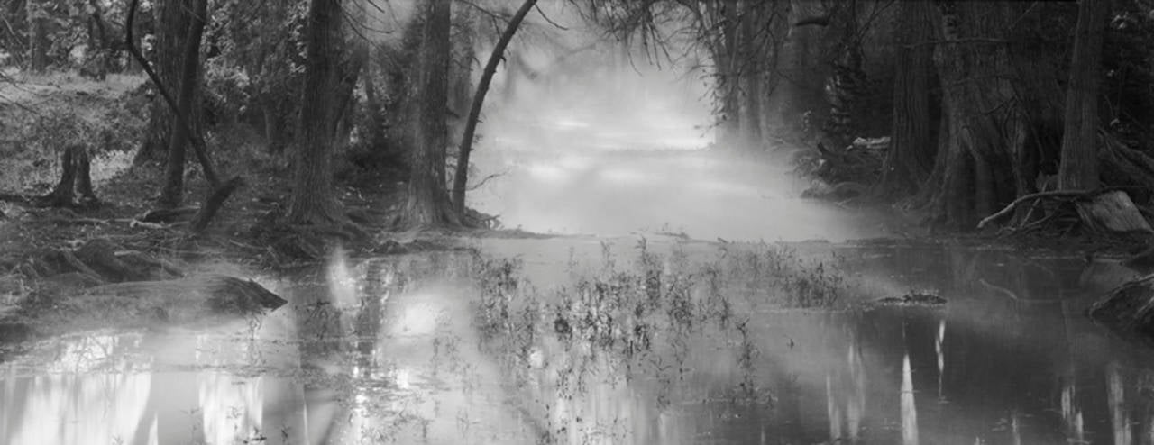 Landscape Photograph di David H. Gibson - Alba lungo il Cypress Creek