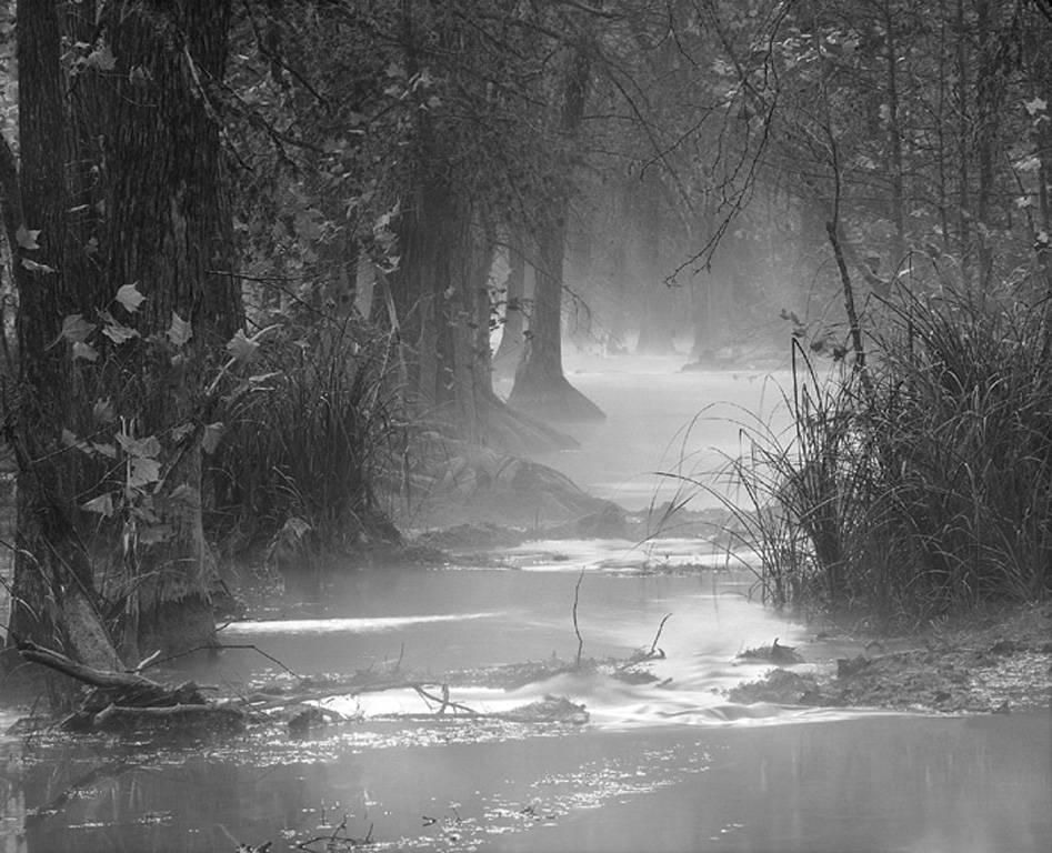 David H. Gibson Landscape Photograph - November Morning, Cypress Creek, Wimberley, Texas
