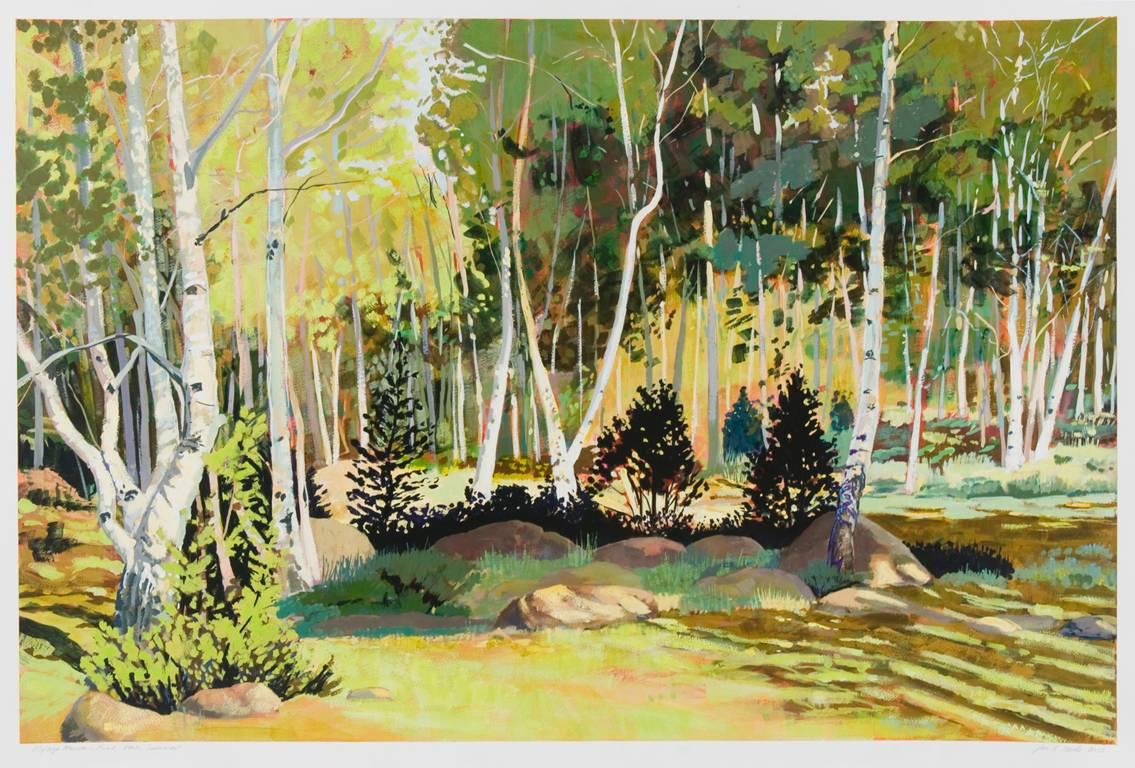 Mytoge Mountain Road, Utah, Verano - Art de Jane K. Starks