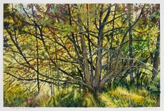 Fort Burgwin, NM, Frühjahr