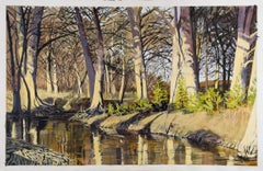 East Fork Frio River, Winter