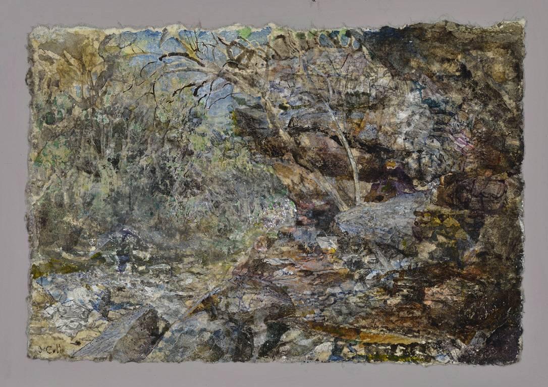 Sycamore Creek - Art Contemporaneo di John Cobb