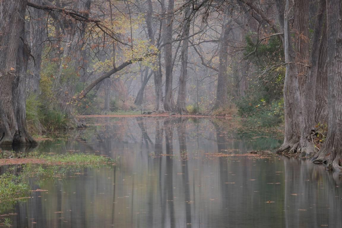 David H. Gibson Color Photograph - Morning Along Cypress Creek, November 23, 2008, 8:23 AM, Wimberley, Texas