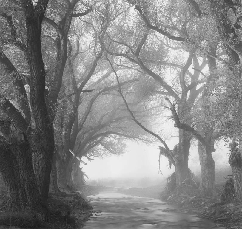Landscape Photograph de David H. Gibson - Arroyo Limpia, Fort Davis, Texas