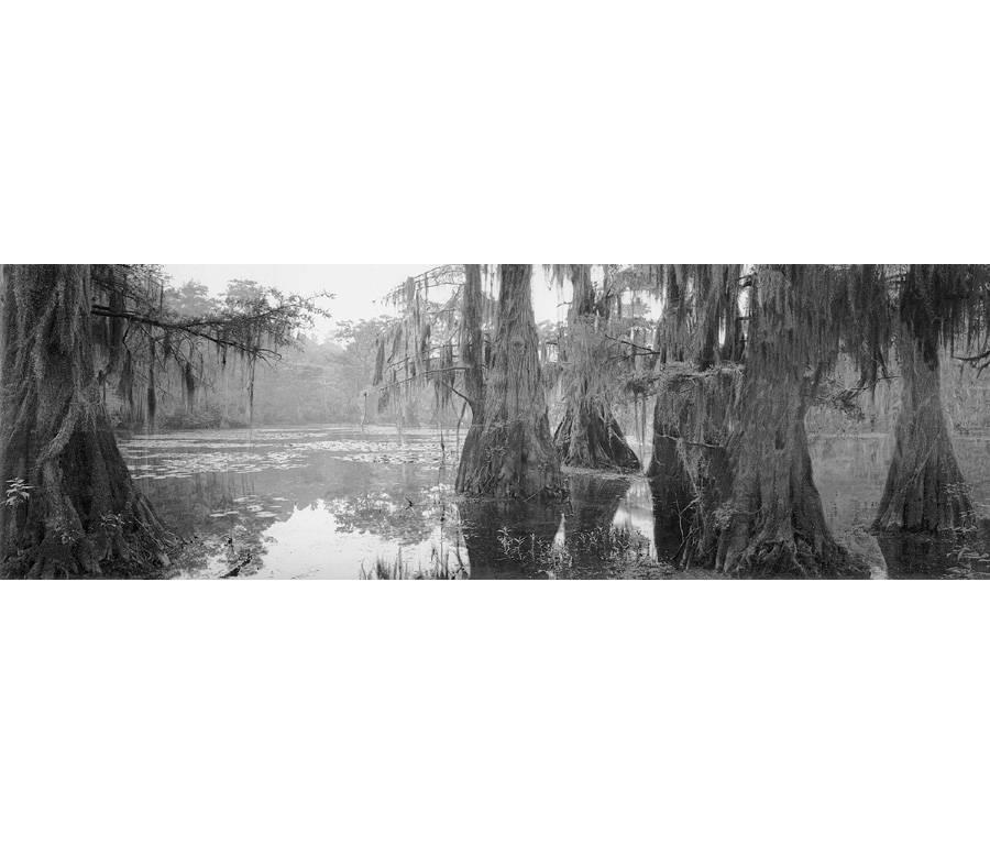 David H. Gibson Black and White Photograph - Mill Pond, Caddo Lake, Texas