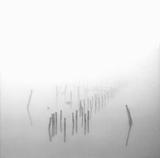 Pilings