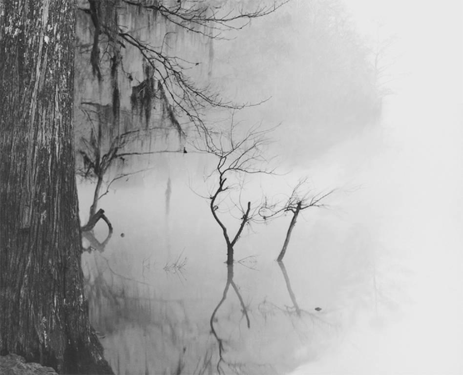 David H. Gibson Black and White Photograph - Tree Trunk and Reflections, Big Cypress Bayou, Texas