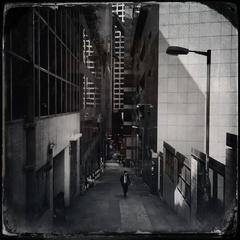 "How to be or not to be when you are a dog ? Watch men and pray iPhone"