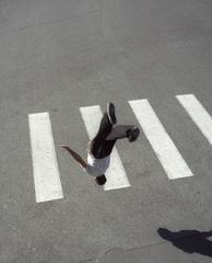 denis darzacq la chute La Chute Sans Titre No. 12