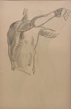 A Fine, Modern 1930s Academic Anatomical Figure Study, Male Nude Model, Torso