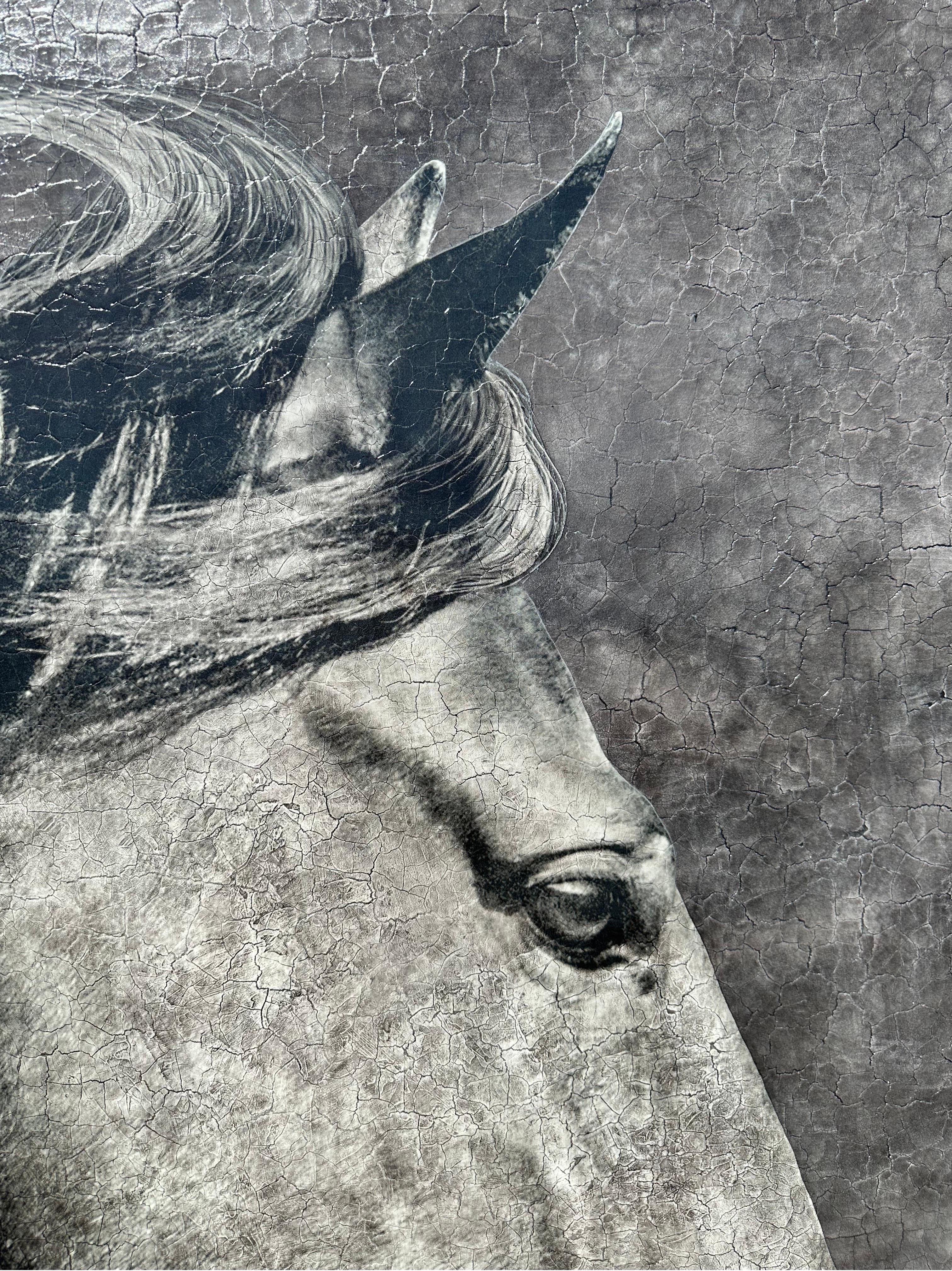 Fiducioso, curioso e giocoso (dipinto originale di cavallo in grande scala) 1