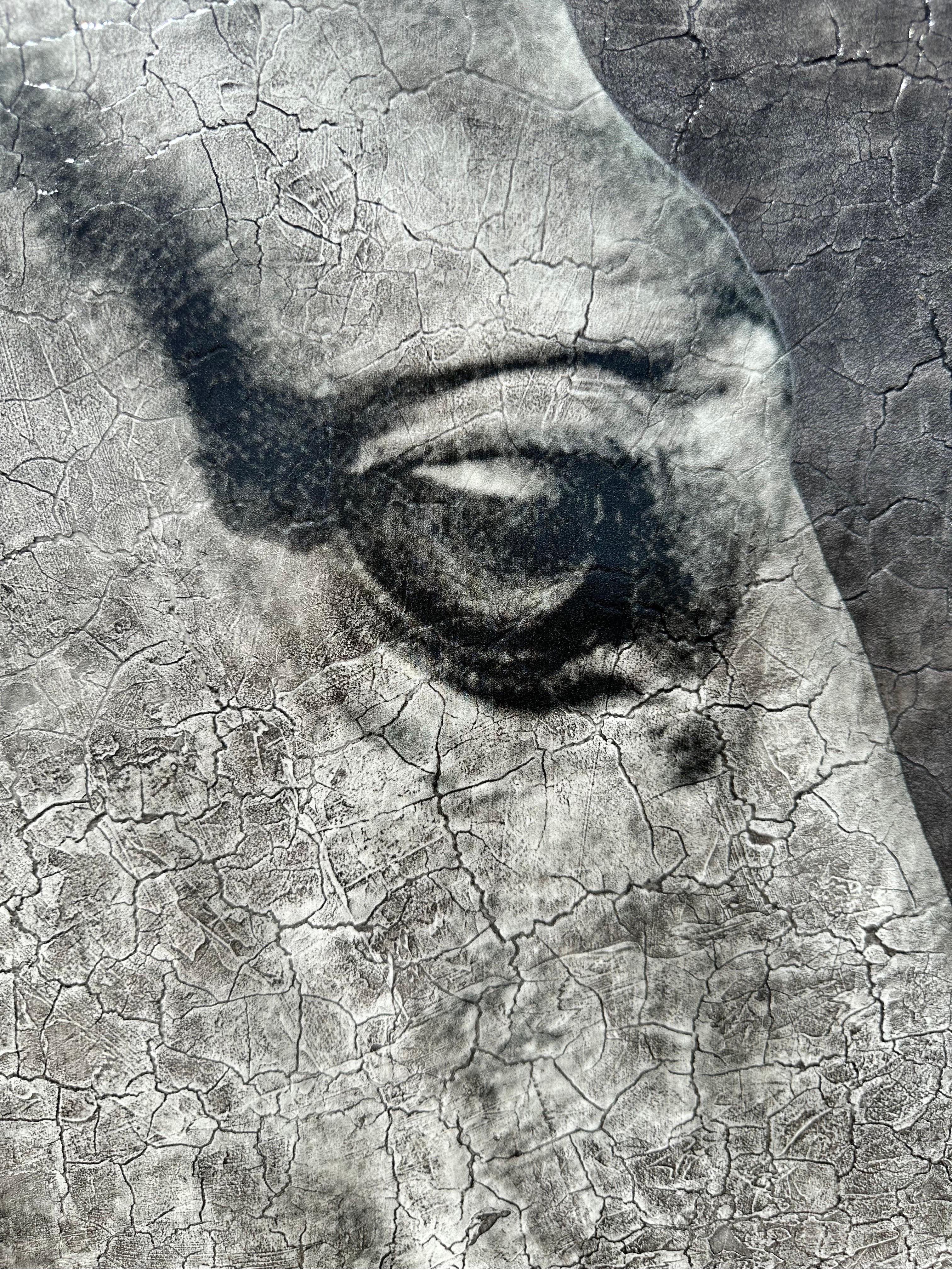 Fiducioso, curioso e giocoso (dipinto originale di cavallo in grande scala) 2
