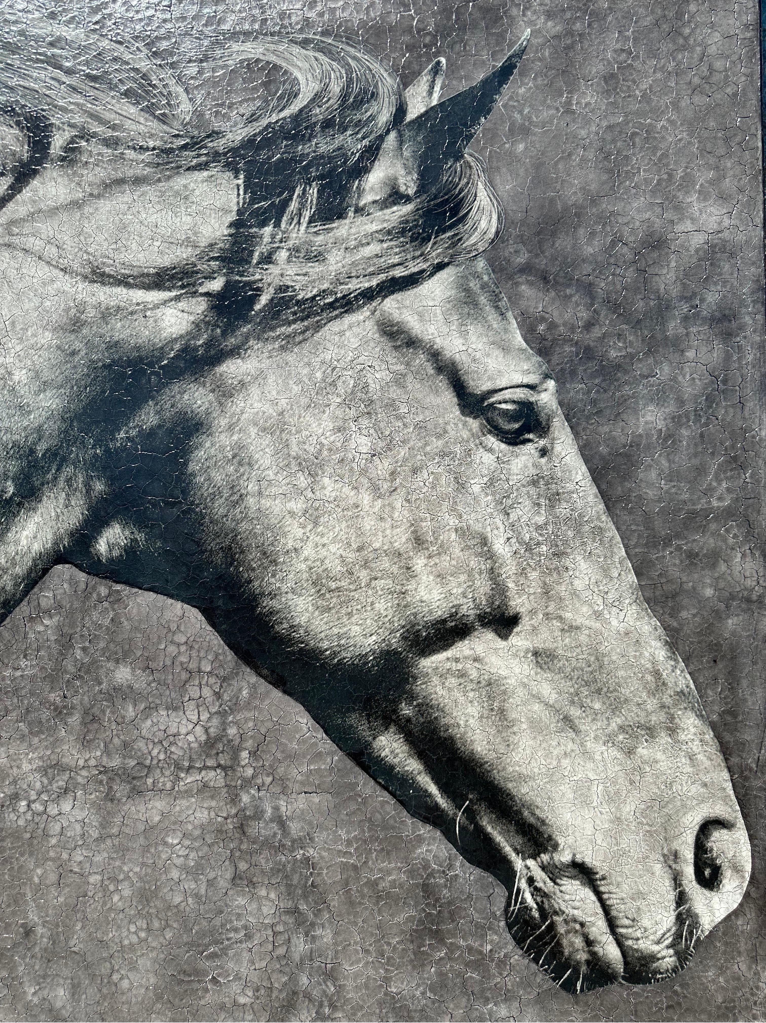 Fiducioso, curioso e giocoso (dipinto originale di cavallo in grande scala) 3