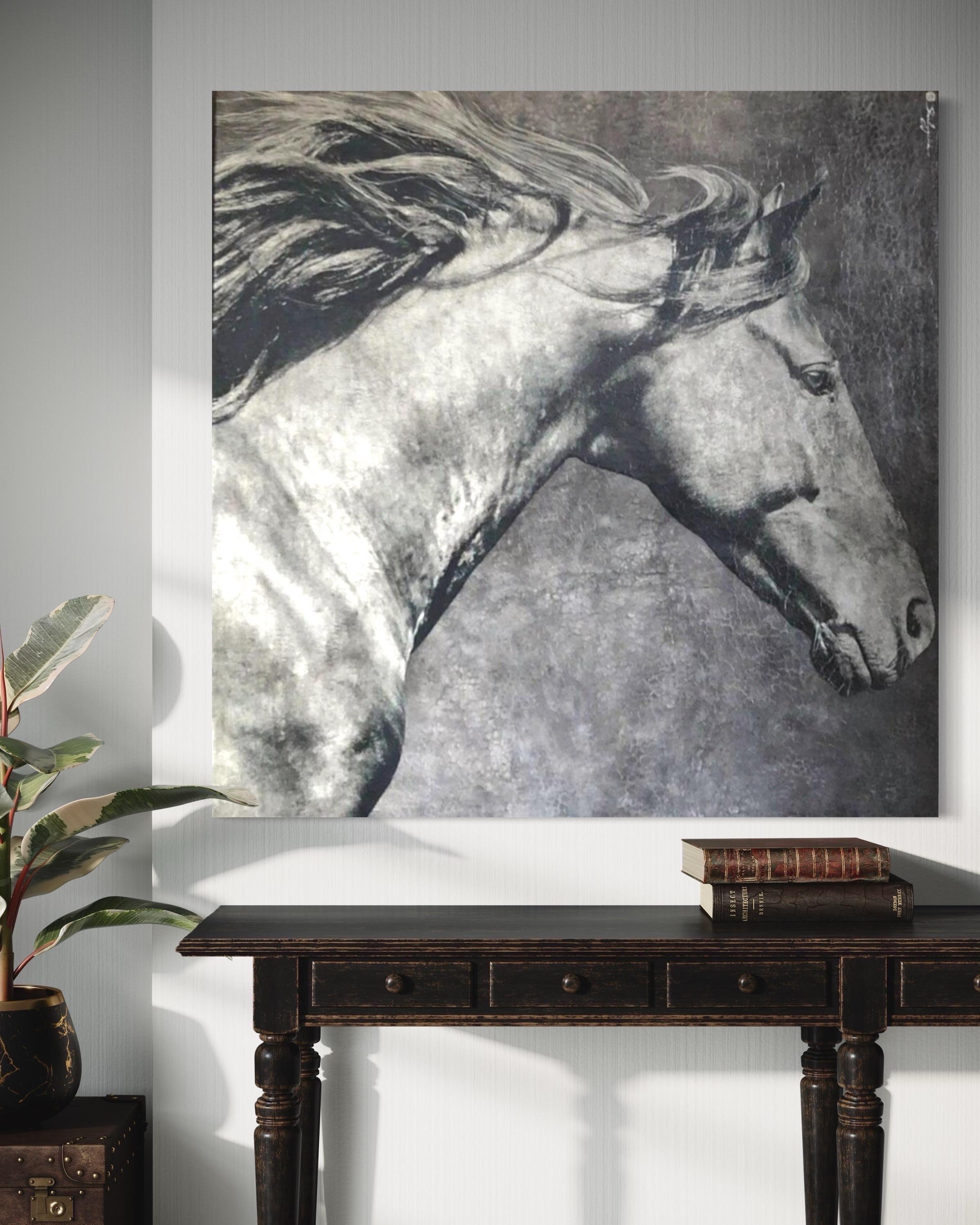Fiducioso, curioso e giocoso (dipinto originale di cavallo in grande scala) 9