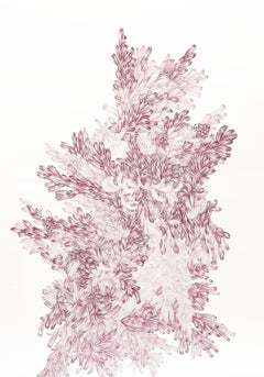 Hiper Organico 43