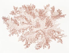 Hiper Organico 47
