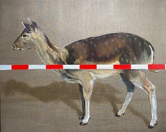 Accesso negato