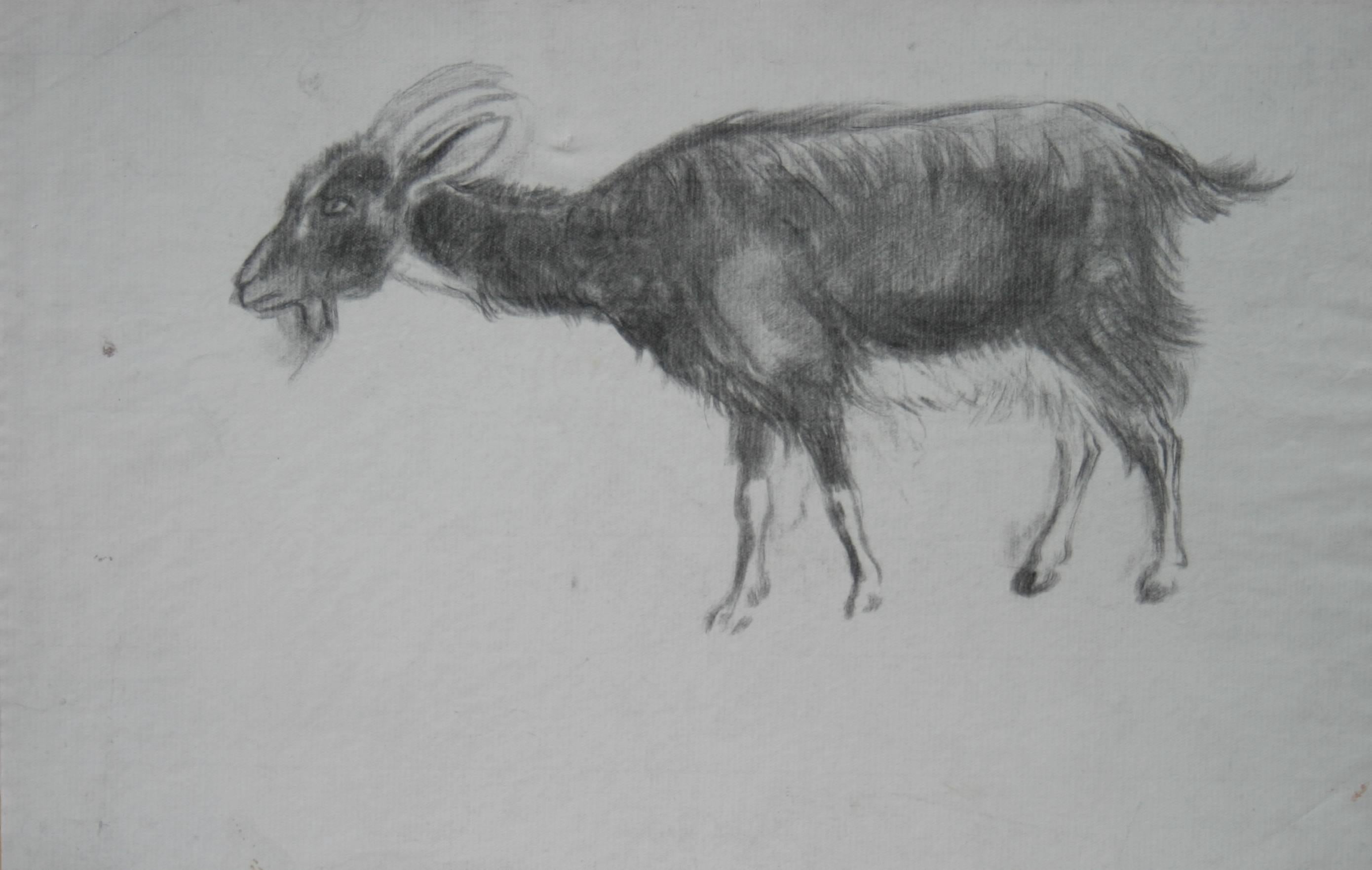 Orovida Pissarro Animal Art - Goat