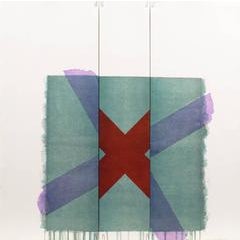 Two of a Kind VIa (dark red x on green) 9