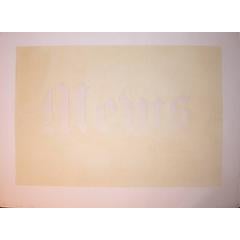 Mews 7