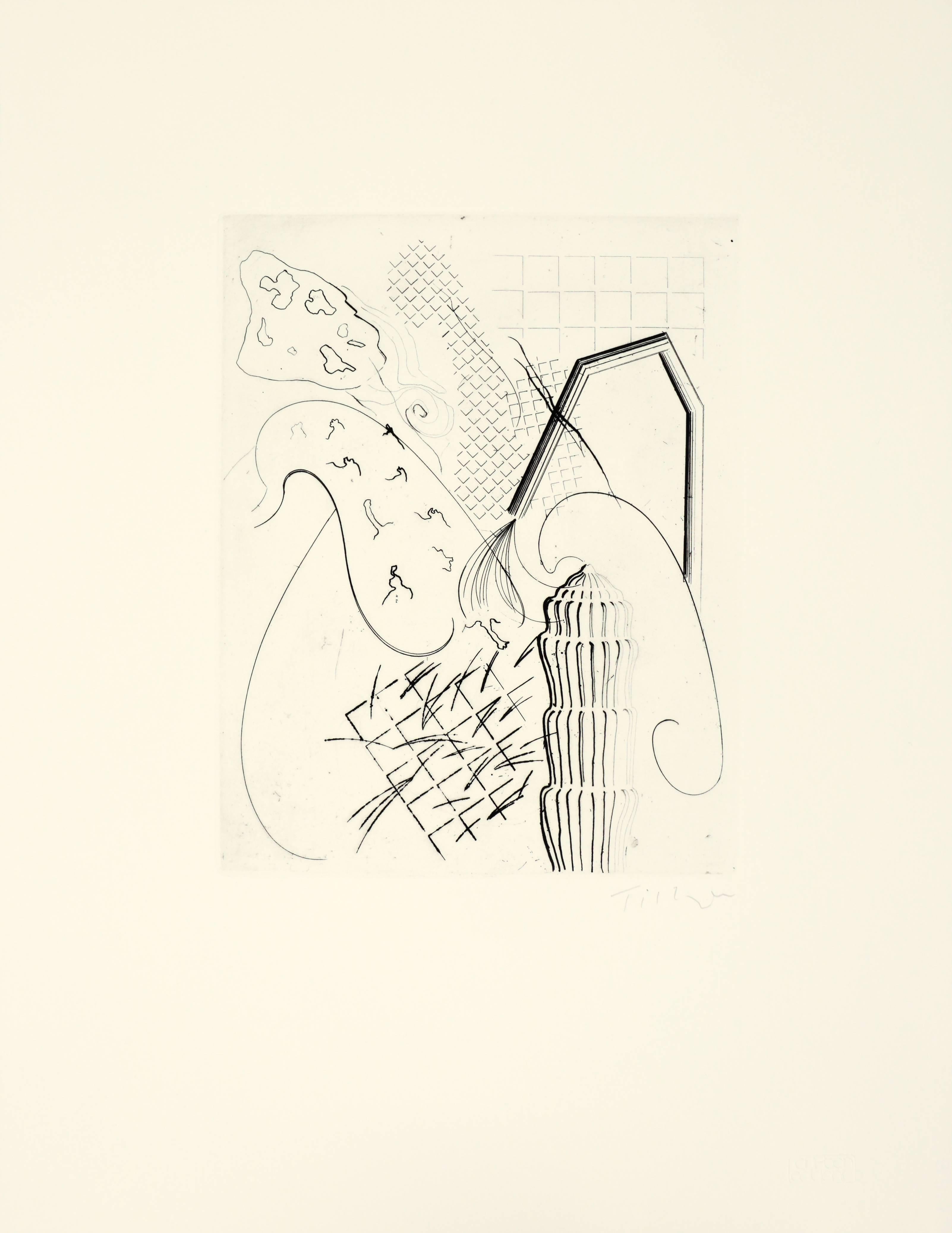 William Tillyer Abstract Print - "some natural flowers that looked like fakes"- Cypripedium