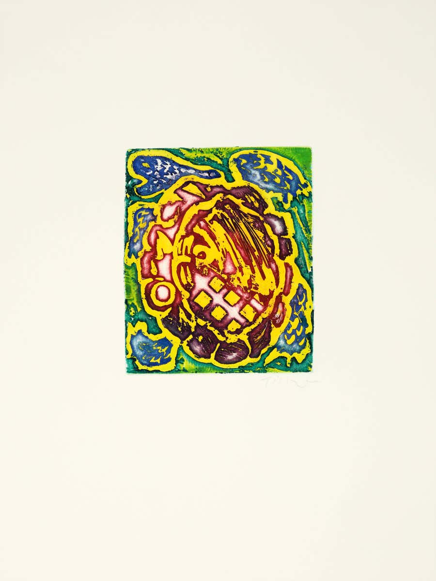 The tortoise
