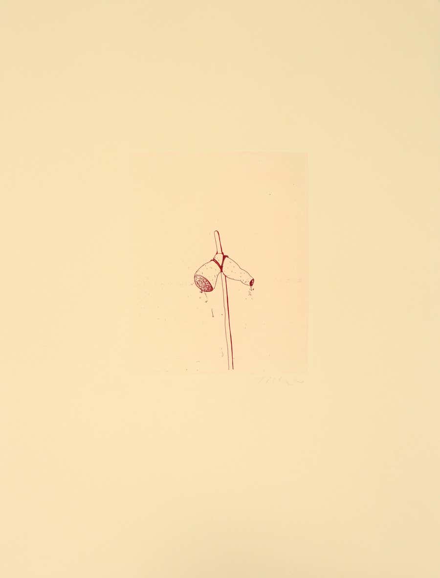 The Hanging Tree
